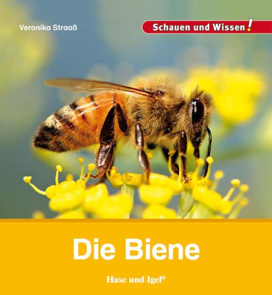 hugendubel Veronika Straaß: Die Biene bei. Online bestellen oder in der Filiale abholen