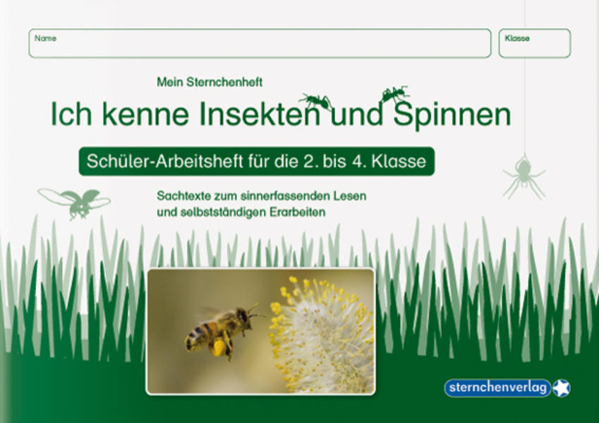 hugendubel Katrin Langhans sternchenverlag GmbH: Ich kenne Insekten und Spinnen - Schülerarbeitsheft für die 2. bis 4. Klasse bei. Online bestellen oder in der Filiale abholen