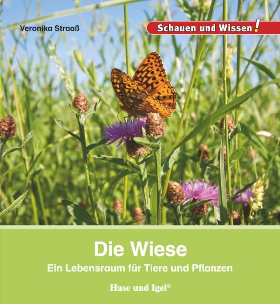 hugendubel Veronika Straaß: Die Wiese bei. Online bestellen oder in der Filiale abholen
