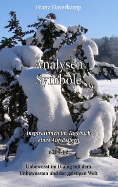 buecher Analysen Symbole 6209-12 (eBook ePUB) von Franz Haverkamp - bücher.de Valentinstagsangebot