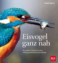 buecher Eisvogel ganz nah (eBook ePUB) von Ralph Sturm - bücher.de