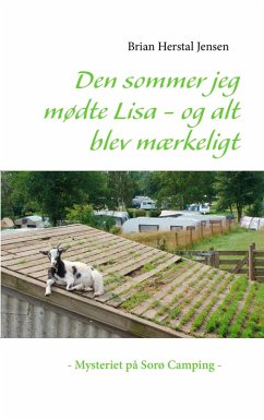 buecher Den sommer jeg mødte Lisa - og alt blev mærkeligt (eBook ePUB) von Brian Herstal Jensen - bücher.de