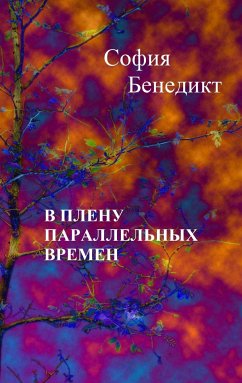 buecher V plenu parallelnyh vremjon (eBook ePUB) von Sophia Benedict - bücher.de