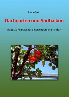 buecher Dachgarten und Südbalkon (eBook ePUB) von Flora Grün - bücher.de