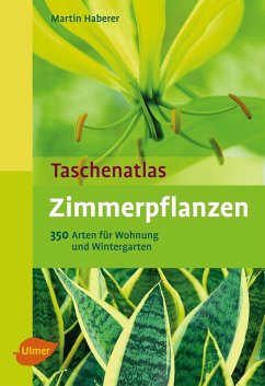 buecher Zimmerpflanzen (eBook PDF) von Martin Haberer - bücher.de